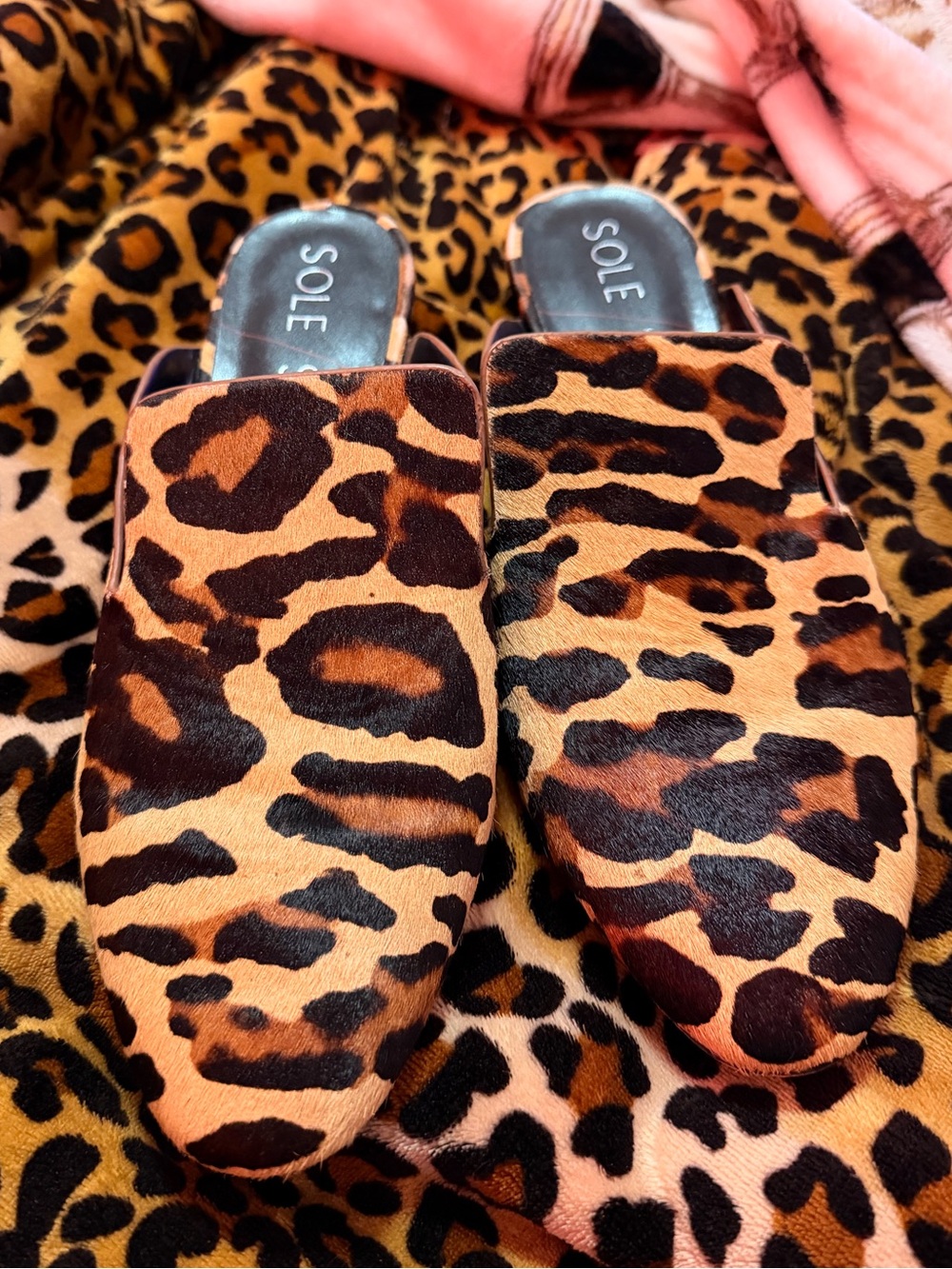 Sole Society Leopard Print Slip-On Mules in Brown and Black